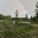 Juneau Community Garden