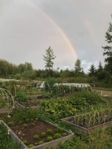 Juneau Community Garden